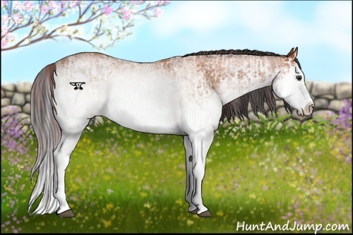 Horse Color:White Spotted Chocolate Bay Splash  and White Spotted Bay Splash 