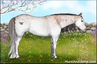 Horse Color:White Spotted Chocolate Bay Splash  and White Spotted Bay Splash 