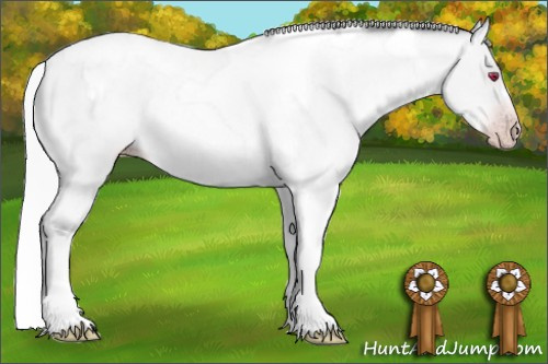 Horse Color:Gray Silver Amber Cream Champagne Chinchilla Roan Dun Splash Tobiano Frame Appaloosa Rabicano 
