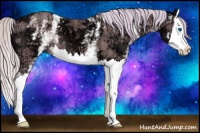 Horse Color:Watercolor White Spotted Silver Bay Ice Splash 