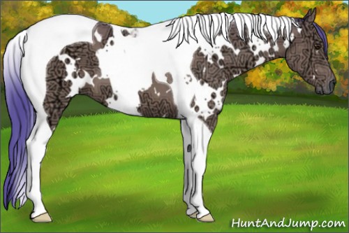 Horse Color:Watercolor White Spotted Bay Ice Tobiano