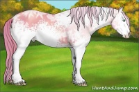 Horse Color:Watercolor White Spotted Gold Champagne Ice Rabicano