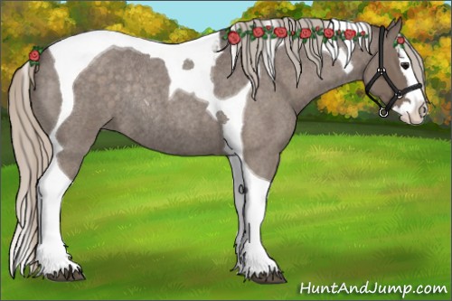 Horse Color:Silver Blue Roan Splash Tobiano Rabicano