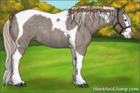 Horse Color:Silver Blue Roan Splash Tobiano Rabicano