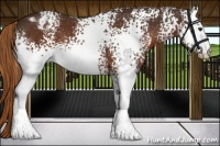 Horse Color:White Spotted Liver Chestnut Varnish 