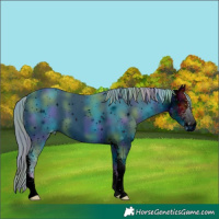 Horse Color:ERROR: UNKNOWN ANOMALY