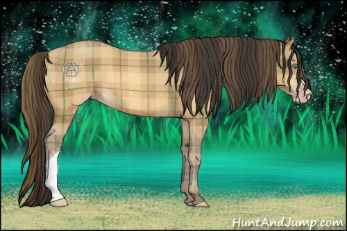 Horse Color:Plaid Amber Champagne