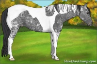 Horse Color:Black Ice Tobiano Varnish 