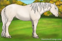 Horse Color:Gold Cream Champagne Pearl 