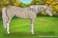 Horse Color:Silver Smoky Black Ice Tobiano 