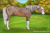 Horse Color:Silver Brown Ice Splash 