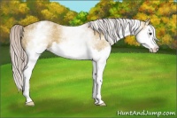 Horse Color:White Spotted Silver Bay Ice Dun Splash 