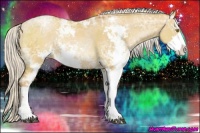 Horse Color:Silver Bay Ice Pearl Dun Sabino Rabicano