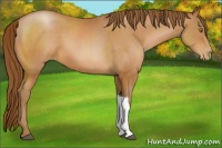Horse Color:Brown Pearl 