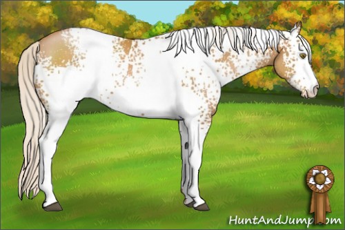 Horse Color:White Spotted Silver Bay Pearl 