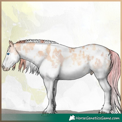 Horse Color:Watercolor White Spotted Black Pearl Sabino Splash 