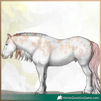 Horse Color:Watercolor White Spotted Black Pearl Sabino Splash 