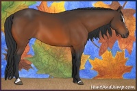 Horse Color:Bay Sabino 