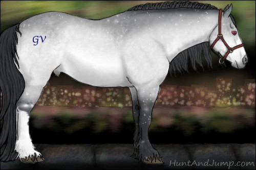 Horse Color:Brown Chinchilla 