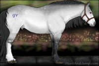 Horse Color:Brown Chinchilla 