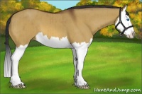 Horse Color:Bay Dun Splash Brindle