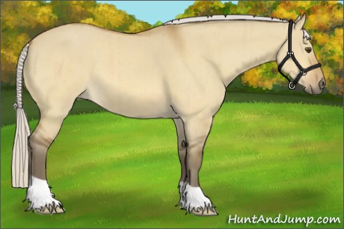 Horse Color:Silver Buckskin Dun Brindle 