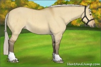 Horse Color:Silver Buckskin Dun Brindle 