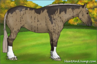 Horse Color:Gray Silver Grullo Brindle