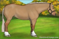 Horse Color:Silver Bay Dun 