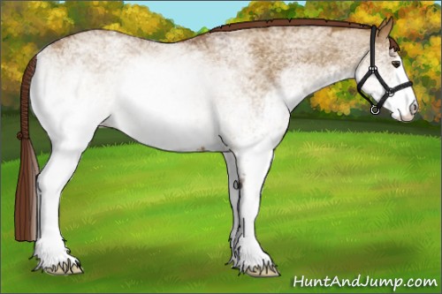Horse Color:White Spotted Red Dun Brindle 