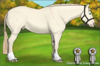 Horse Color:Perlino Dun