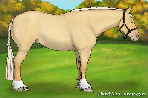 Horse Color:Silver Classic Champagne Roan Dun Rabicano
