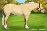Horse Color:Silver Classic Champagne Roan Dun Rabicano
