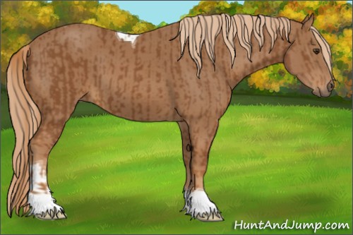 Horse Color:Chestnut and Chestnut Tobiano