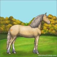 Horse Color:Gold Cream Champagne Sabino