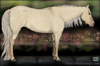 Horse Color:Chocolate Palomino Roan Dun