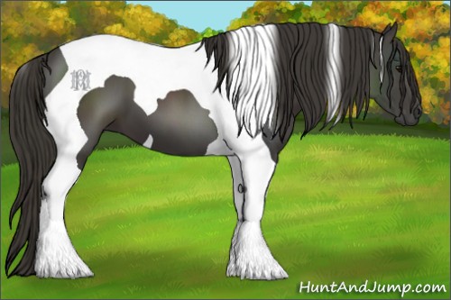 Horse Color:Smoky Black Tobiano 