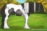 Horse Color:Smoky Black Tobiano 