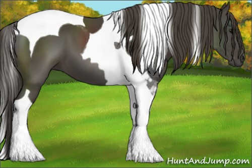 Horse Color:Smoky Black Tobiano 