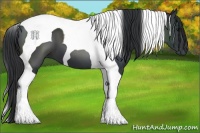 Horse Color:Black Tobiano 