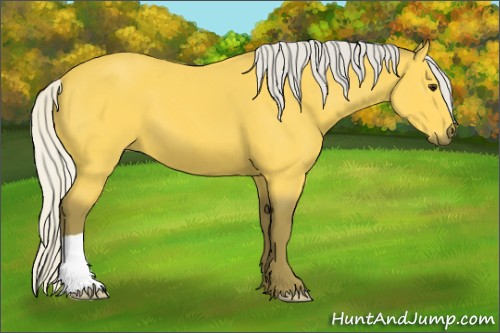 Horse Color:Silver Buckskin