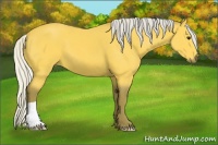 Horse Color:Silver Buckskin 
