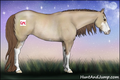Horse Color:Grullo Pearl Sabino Rabicano 