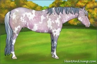 Horse Color:Watercolor White Spotted Brown Ice Pearl