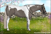 Horse Color:Silver Black Tobiano