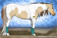 Horse Color:Red Dun Tobiano