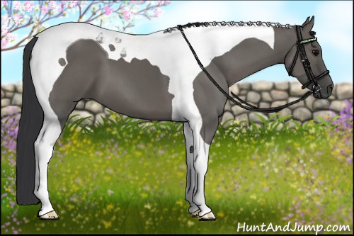 Horse Color:Grullo Tobiano 