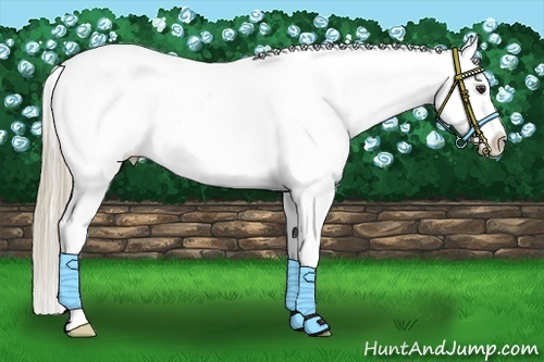 Horse Color:Chestnut Splash Snowflake Varnish