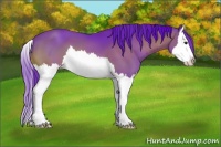 Horse Color:Watercolor Bay Splash