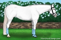 Horse Color:Chocolate Palomino Splash Tobiano Varnish 